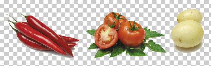 Vegetable Tomato Auglis Ingredient Food PNG, Clipart, Background Green, Bell Peppers And Chili Peppers, Birds Eye Chili, Capsicum Annuum, Chili Free PNG Download