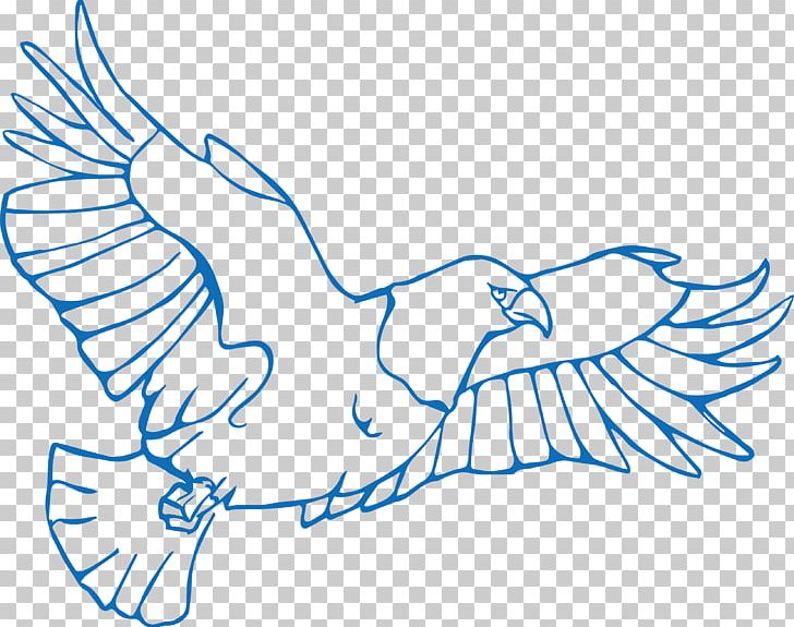 Bird Drawing Illustration PNG, Clipart, Animals, Area, Art, Beak, Bird Free PNG Download