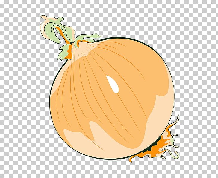 Calabaza Yellow Onion Vegetable PNG, Clipart, Allium, Apple, Art, Calabaza, Commodity Free PNG Download