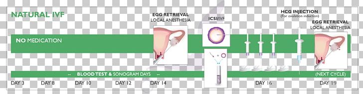 In Vitro Fertilisation Natural Cycle In Vitro Fertilization Embryo Surrogacy PNG, Clipart, Area, Brand, Childbirth, Diagram, Embryo Free PNG Download