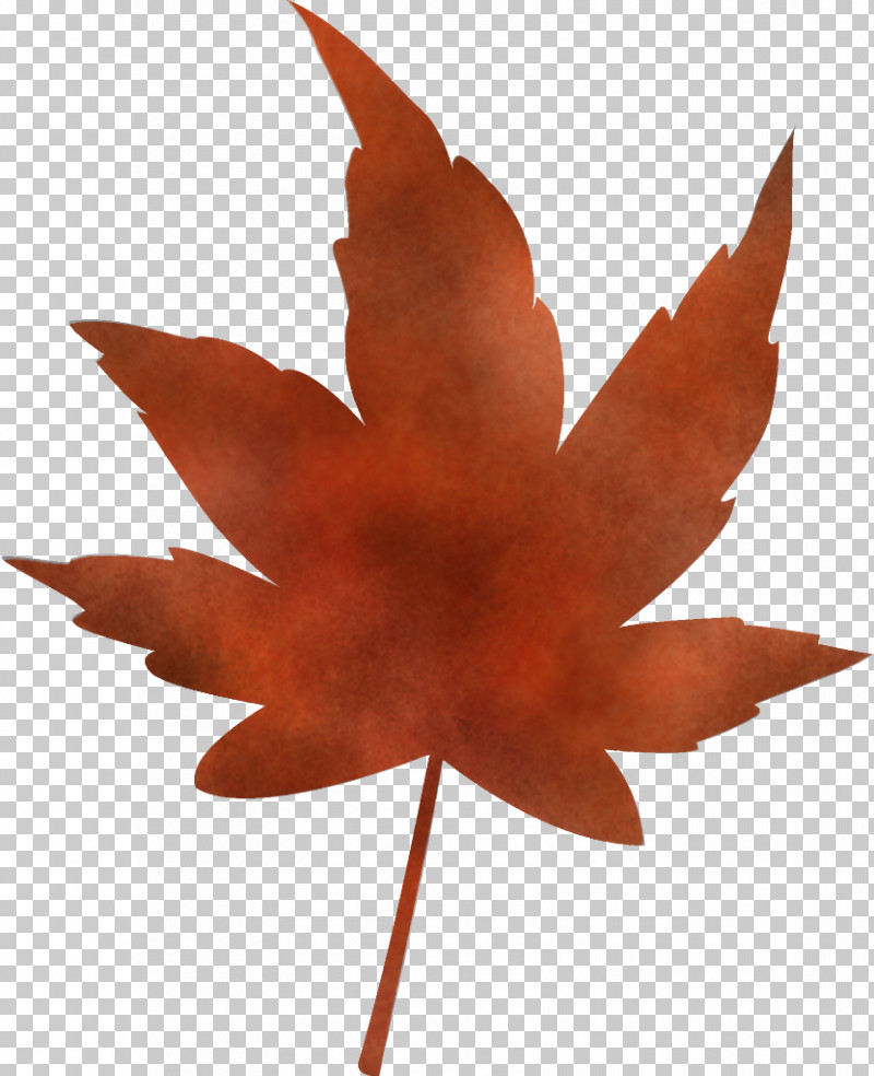 Maple Leaf Autumn Leaf Yellow Leaf PNG, Clipart, Autumn Leaf, Deciduous, Flower, Leaf, Maple Free PNG Download