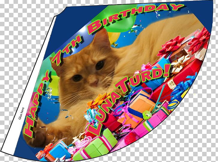 Birthday Party Hat Cat Whiskers PNG, Clipart, Birthday, Cat, Com, Hat, Holidays Free PNG Download