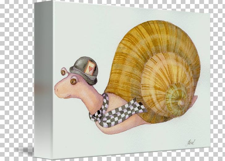 Snail Nautiluses Seashell PNG, Clipart, Animals, Hurry, Invertebrate, Molluscs, Nautilida Free PNG Download