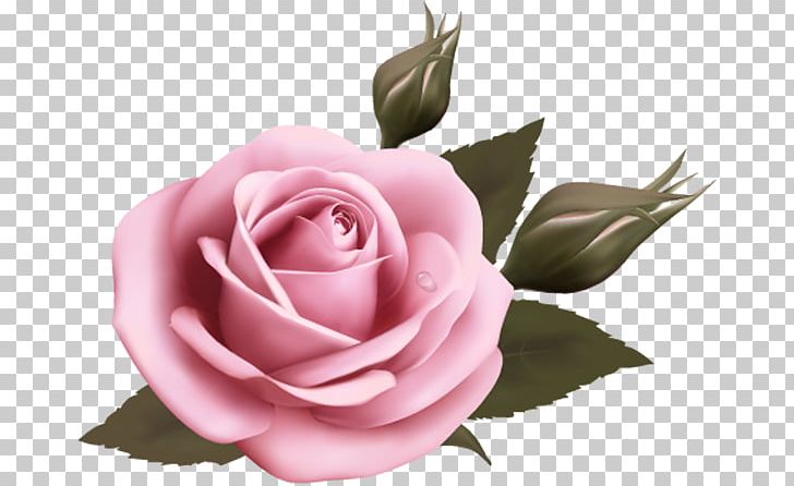 Wedding Invitation Rose PNG, Clipart, Cut Flowers, Fleur, Floribunda, Floristry, Flower Free PNG Download