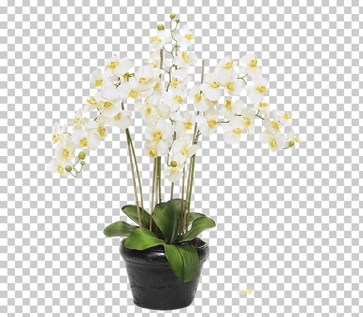 Moth Orchids Flowerpot PNG, Clipart, Artificial Flower, Black, Crock, Floral, Floral Design Free PNG Download