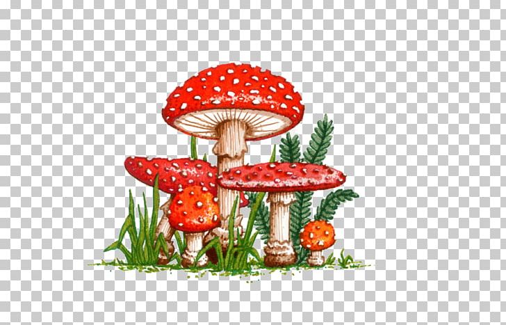 Amanita Muscaria Amanita Regalis Death Cap Amanita Citrina PNG, Clipart, Amanita, Amanita Citrina, Amanita Regalis, Death Cap, Floral Design Free PNG Download