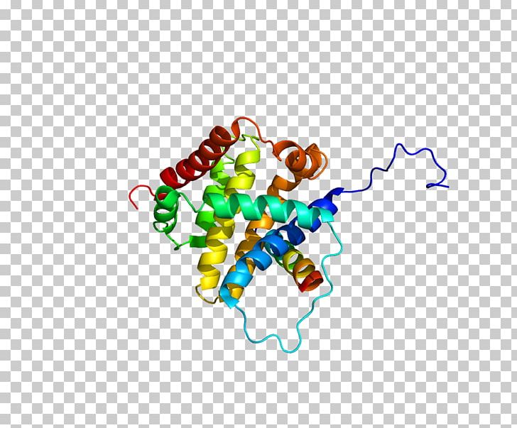 BCL2L11 Bcl-2 Family BCL2-like 1 Protein PNG, Clipart, Apoptosis, Area, Bcl2, Bcl2 Family, Bcl2l2 Free PNG Download