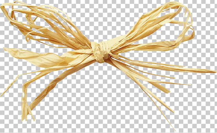 Shoelace Knot PNG, Clipart, Bow, Cartoon, Christmas Decoration, Clip Art, Decoration Free PNG Download