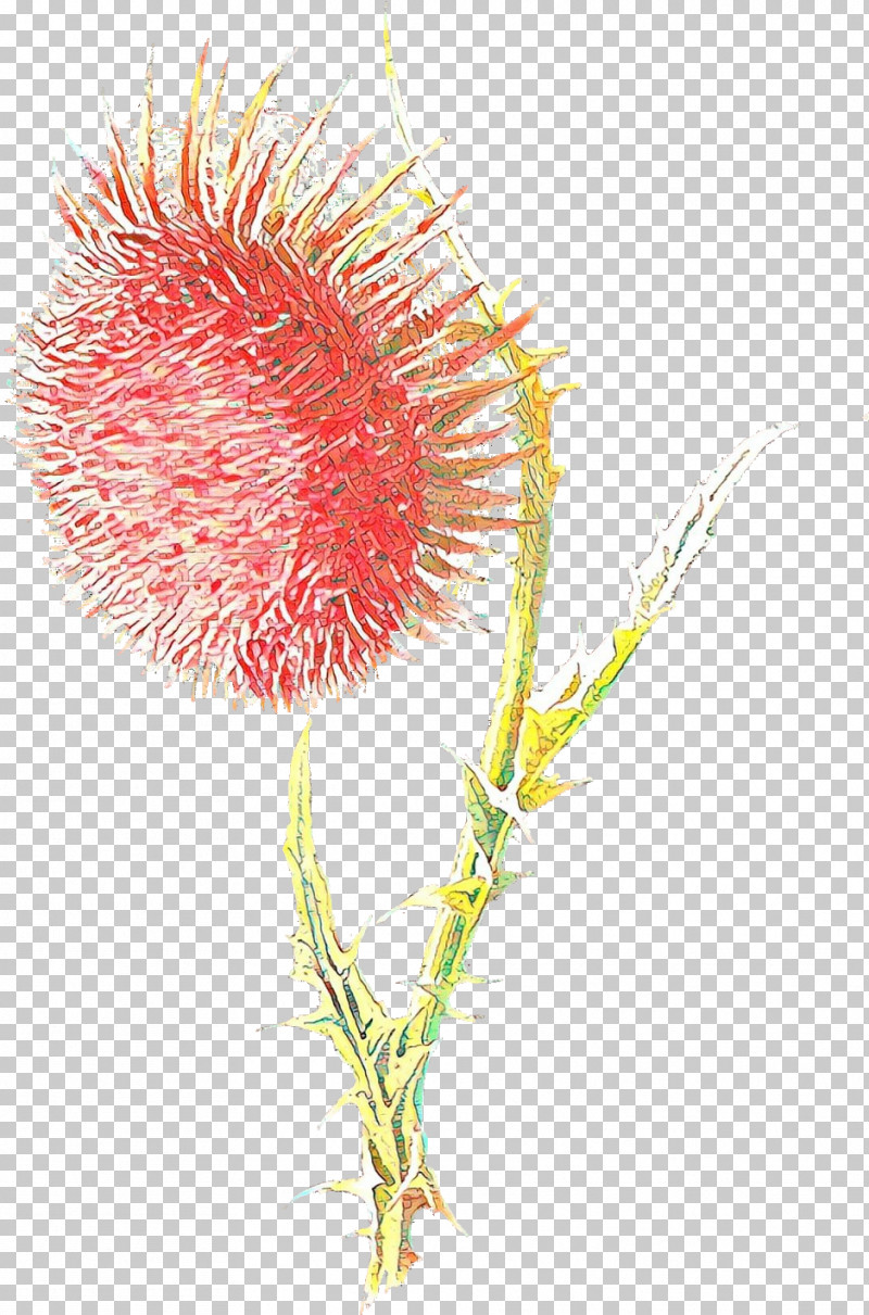 Flower Plant Thistle Thorns, Spines, And Prickles PNG, Clipart, Flower, Plant, Thistle, Thorns Spines And Prickles Free PNG Download