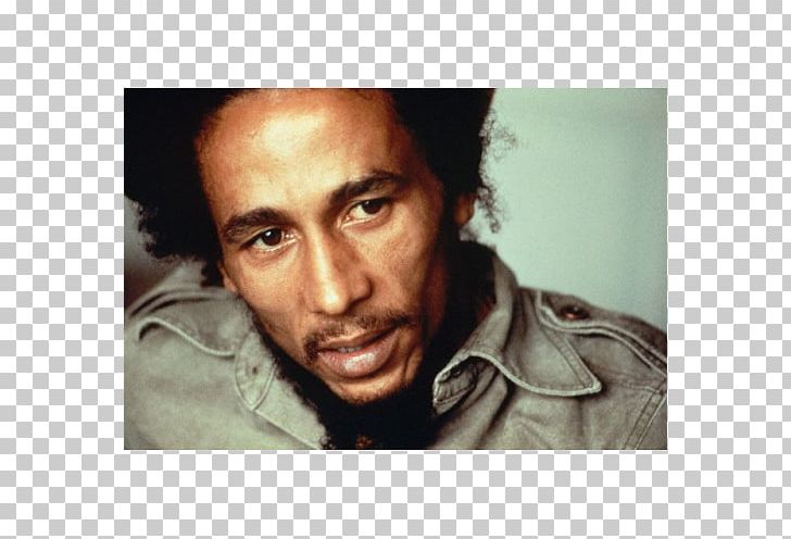 Bob Marley Reggae Musician Jamaica Legend PNG, Clipart, Artist, Bob Marley, Bob Marley And The Wailers, Celebrities, Chin Free PNG Download
