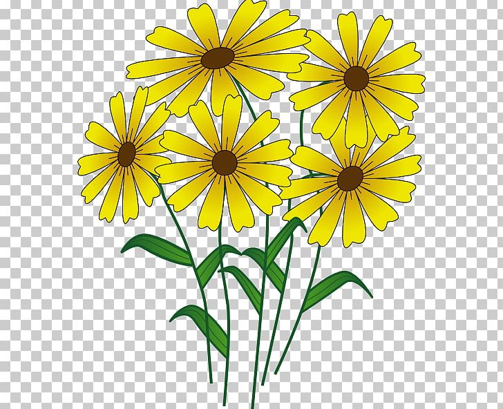 Drawing Flower PNG, Clipart, Art, Black And White, Chrysanths, Common Daisy, Cut Flowers Free PNG Download