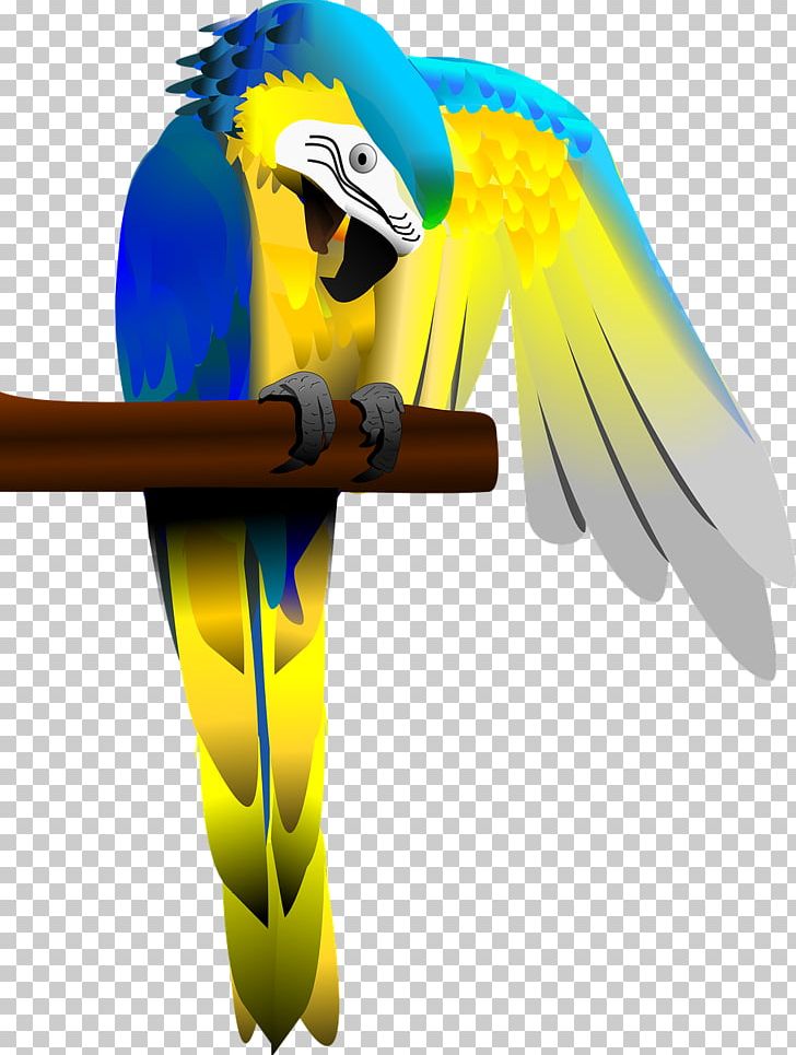 Parrot Bird Heron Blue-and-yellow Macaw PNG, Clipart, Animal, Animals, Beak, Bird, Bird Hybrid Free PNG Download