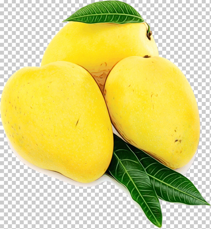 Mango PNG, Clipart, Anaya Overseas, Citron, Fruit, Lemon, Mango Free PNG Download