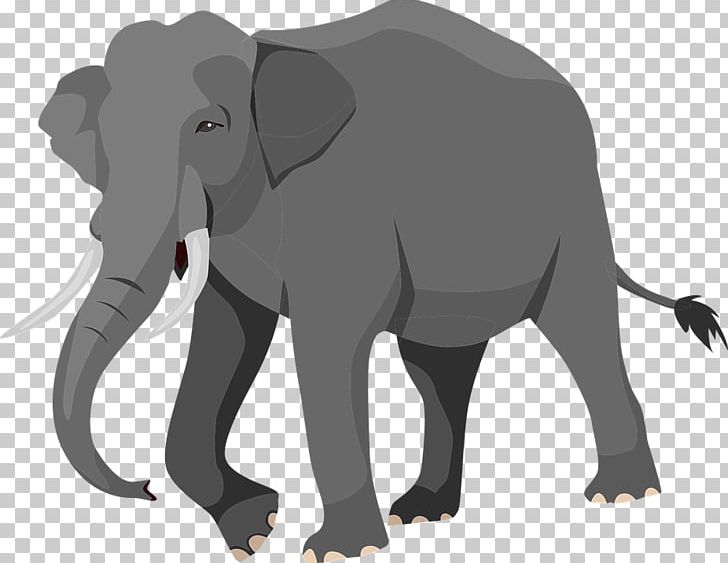 African Elephant Indian Elephant Portable Network Graphics Elephants PNG, Clipart, African Elephant, Animals, Baby Elephant, Carnivoran, Cattle Like Mammal Free PNG Download
