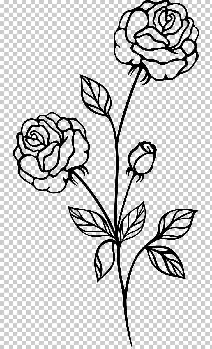 Black Rose Black And White PNG, Clipart, Black, Black And White, Black Rose, Branch, Cut Flowers Free PNG Download