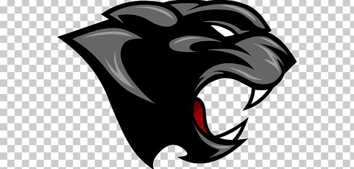 Hershey Paint Branch Panthers Sport Mascot PNG, Clipart, American Football, Black, Carnivoran, Cat Like Mammal, Coach Free PNG Download