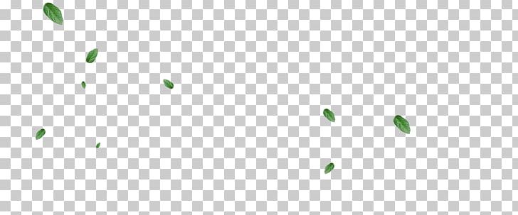 Leaf Desktop Plant Stem Computer Font PNG, Clipart, Atmosphere Of Earth, Circle, Closeup, Closeup, Computer Free PNG Download