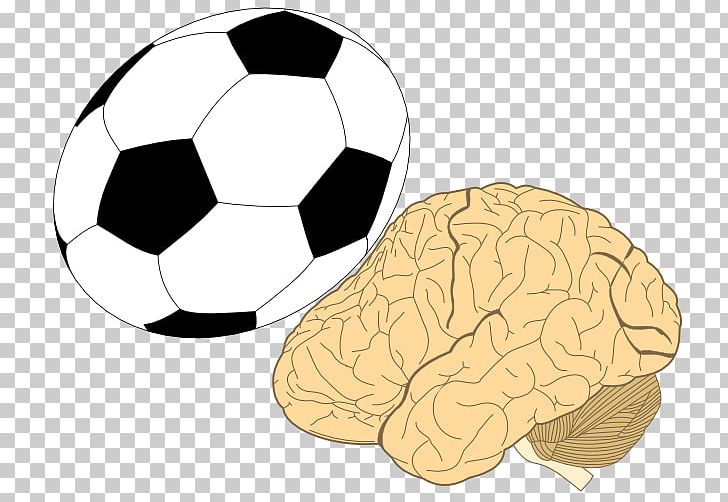Lobes Of The Brain PNG, Clipart, Ball, Brain, Football, Lobe, Lobes Of The Brain Free PNG Download
