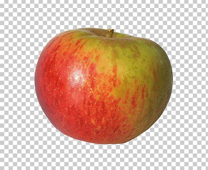 McIntosh Red Reinette Russet Apple Fruit PNG, Clipart,  Free PNG Download
