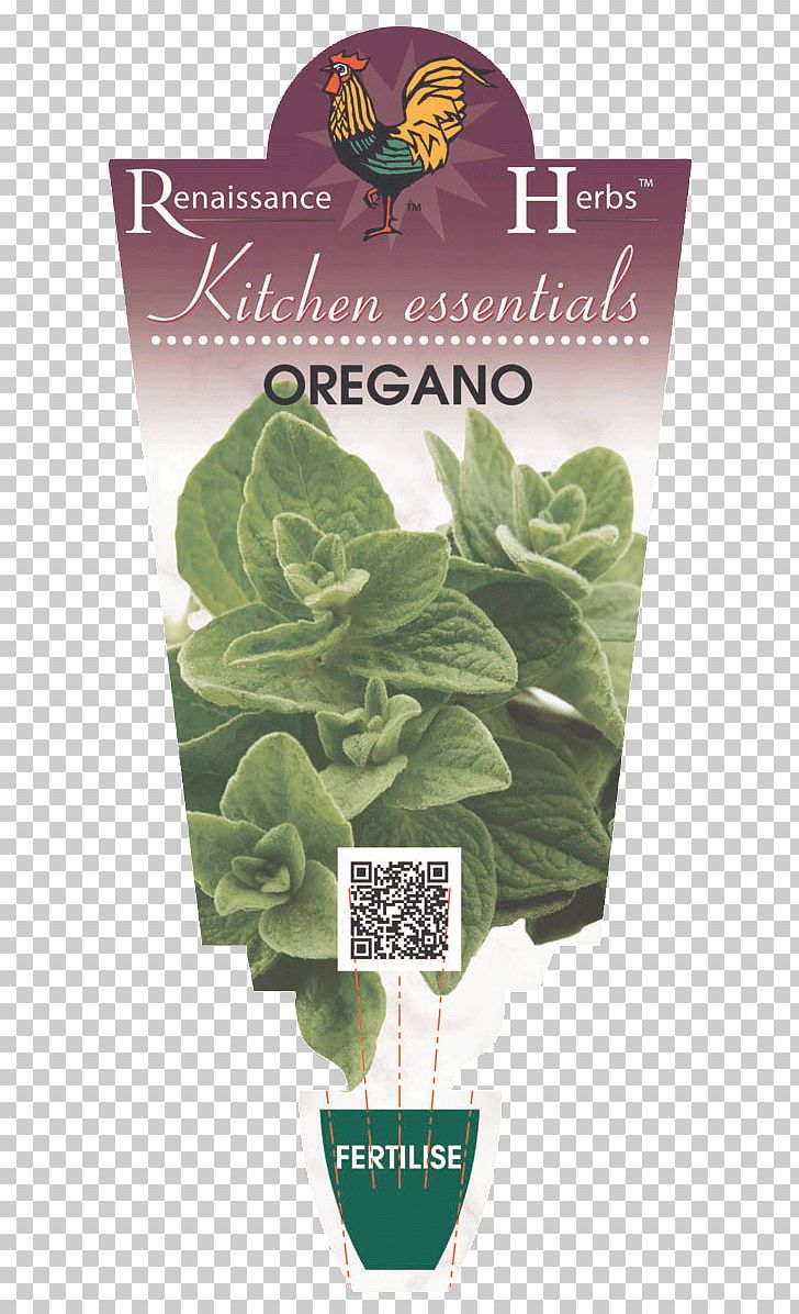 Romaine Lettuce Spring Greens Leaf Herb PNG, Clipart, Food, Greens, Herb, Herbalism, Leaf Free PNG Download