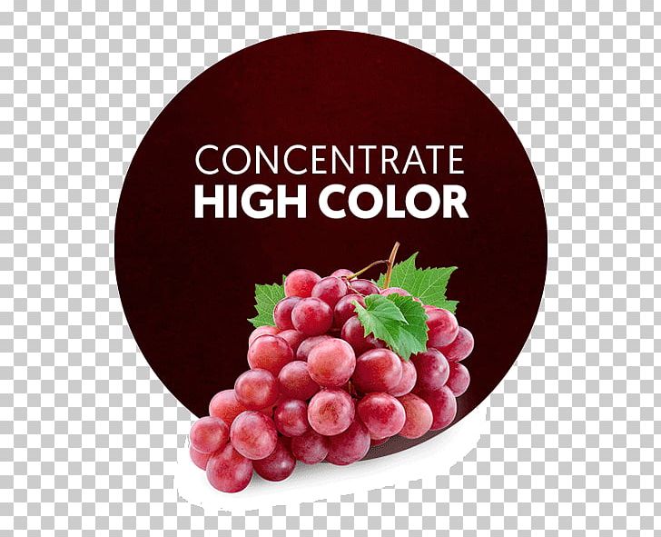 Common Grape Vine Red Wine Red Globe PNG, Clipart,  Free PNG Download