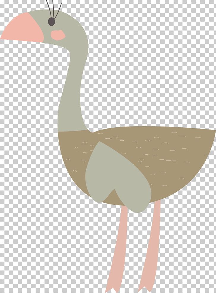 Duck PNG, Clipart, Adobe Illustrator, Animals, Beak, Beige, Bird Free PNG Download