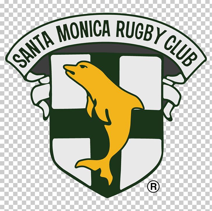 Santa Monica Rugby Club Belmont Shore RFC Old Mission Beach Athletic Club RFC Pacific Rugby Premiership PNG, Clipart, Amphibian, Area, Artwork, Beak, Brand Free PNG Download