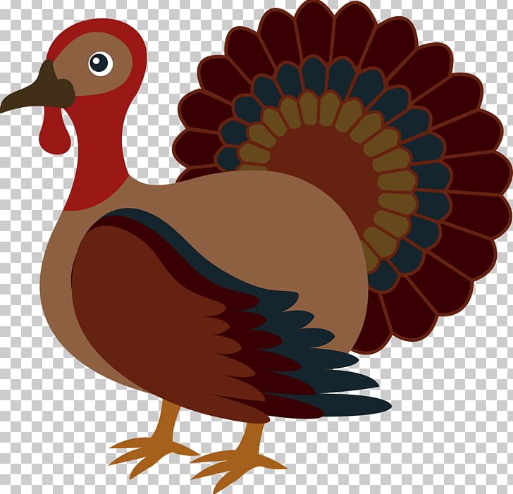 Turkey Meat Thanksgiving PNG, Clipart, Beak, Bird, Cartoon, Chicken, Domesticated Turkey Free PNG Download