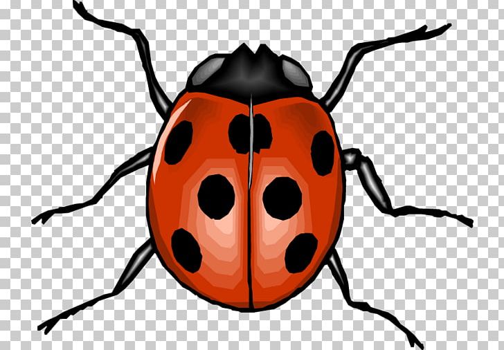 Beetle Seven-spot Ladybird Animal PNG, Clipart, Animaatio, Animal, Animals, Aphid, Arthropod Free PNG Download