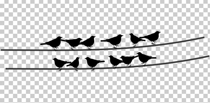 Bird Wire Electrical Cable PNG, Clipart, Angle, Animals, Beak, Bird, Birdcage Free PNG Download