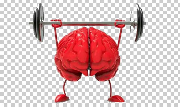 Brain Size Agy Neuroscience Cognitive Training PNG, Clipart, Brain, Brain Injury, Brain Thinking, Brain Vector, Cartoon Free PNG Download