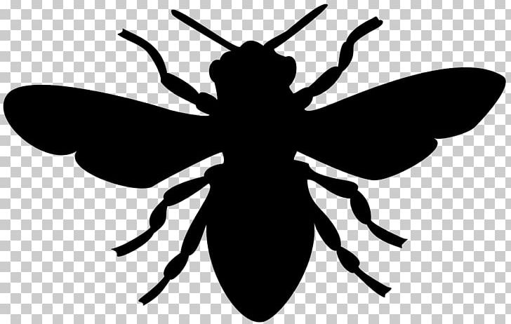 European Dark Bee Bumblebee PNG, Clipart, Arthropod, Artwork, Bee, Black And White, Bumblebee Free PNG Download