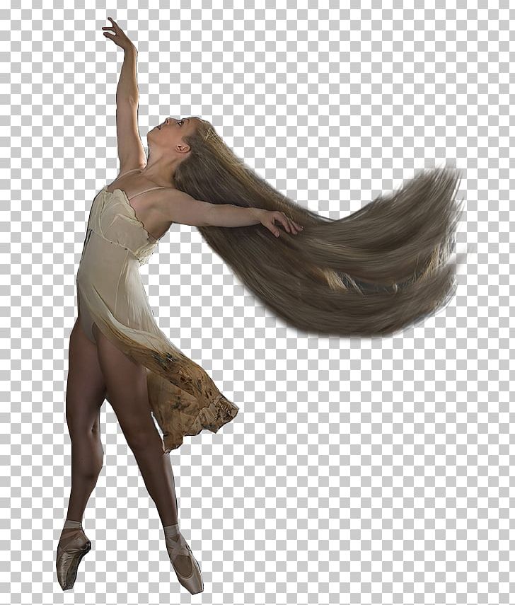 Wood /m/083vt PNG, Clipart, Andrea, Ballet, Barrett, M083vt, Nature Free PNG Download