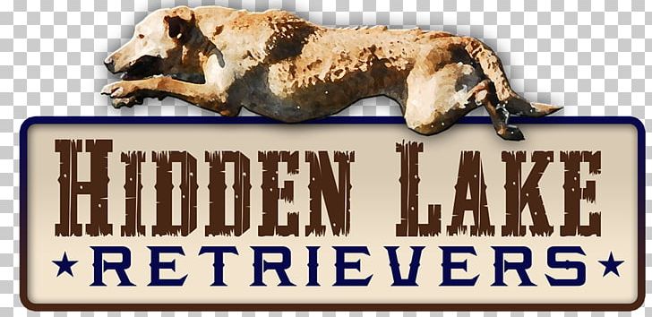 Anderson Labrador Retriever Hidden Lake Lane Brazosport PNG, Clipart, Advertising, Anderson, Animals, Brand, Breeder Free PNG Download