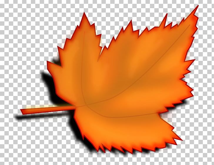 Desktop PNG, Clipart, Autumn Leaf Color, Desktop Wallpaper, Document, Download, Flower Free PNG Download