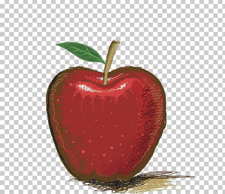 Drawing Apple Illustration PNG, Clipart, Apple Fruit, Cartoon, Drawing, Food, Fruit Free PNG Download