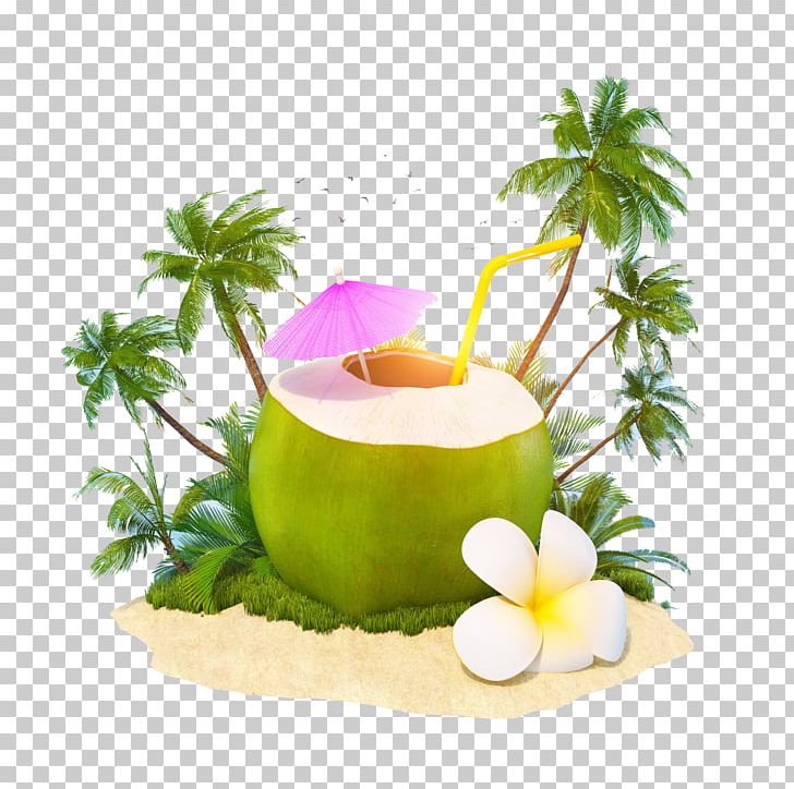 Cocktail Juice Coconut Water Coconut Milk PNG, Clipart, Arecaceae, Beach, Cocktail Umbrella, Coconut, Coconut Leaves Free PNG Download