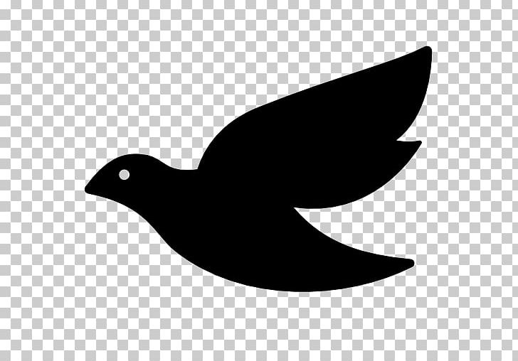 Columbidae Homing Pigeon Computer Icons Doves As Symbols PNG, Clipart, Beak, Bird, Black And White, Columbidae, Computer Icons Free PNG Download