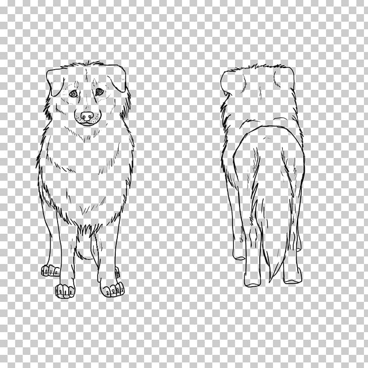 Dog Breed Snout Line Art Sketch PNG, Clipart, Animals, Artwork, Australian, Australian Shepherd, Black And White Free PNG Download
