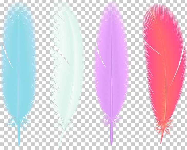 Feather Drawing PNG, Clipart, Animals, Beautiful, Color Smoke, Color Splash, Decorative Free PNG Download