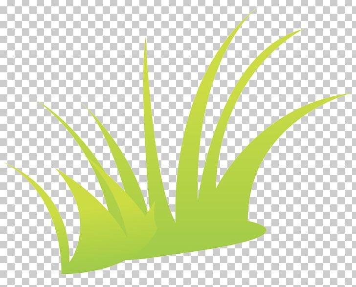Green Grass PNG, Clipart, Angle, Atmosphere, Botany, Computer Icons, Computer Wallpaper Free PNG Download