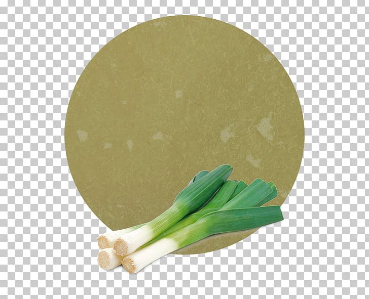 Vegetable Purée Wembley Stadium Leek Brix PNG, Clipart, Brix, Com, Customer, Discover Card, Food Drinks Free PNG Download