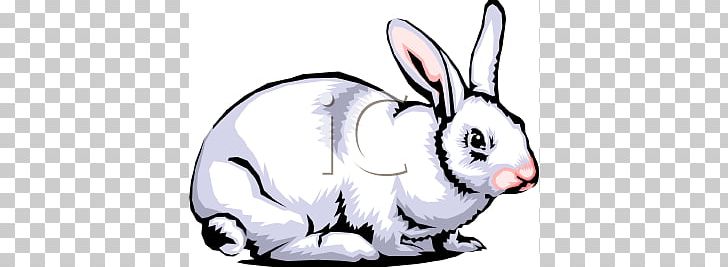 White Rabbit Hare PNG, Clipart, Animal Figure, Carnivoran, Dog Like Mammal, Domestic Rabbit, Drawing Free PNG Download