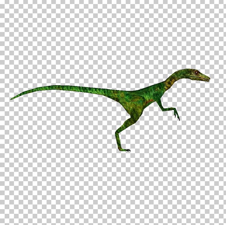 Procompsognathus The Lost World Velociraptor Dinosaur PNG, Clipart, Animal, Animal Figure, Coelurosauria, Compsognathus, Dinosaur Free PNG Download