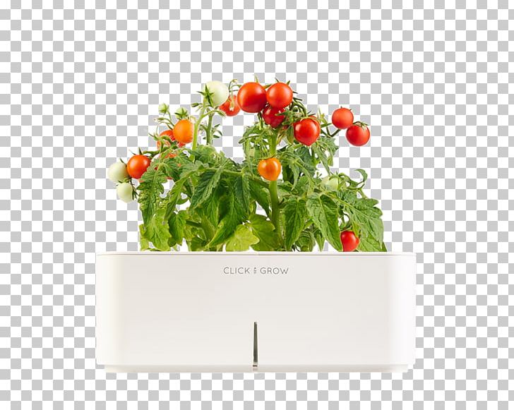 Vegetable Gardening Herb Growing Fruit PNG, Clipart, Artificial Flower, Basil, Cherry Tomato, Cut Flowers, Flower Free PNG Download