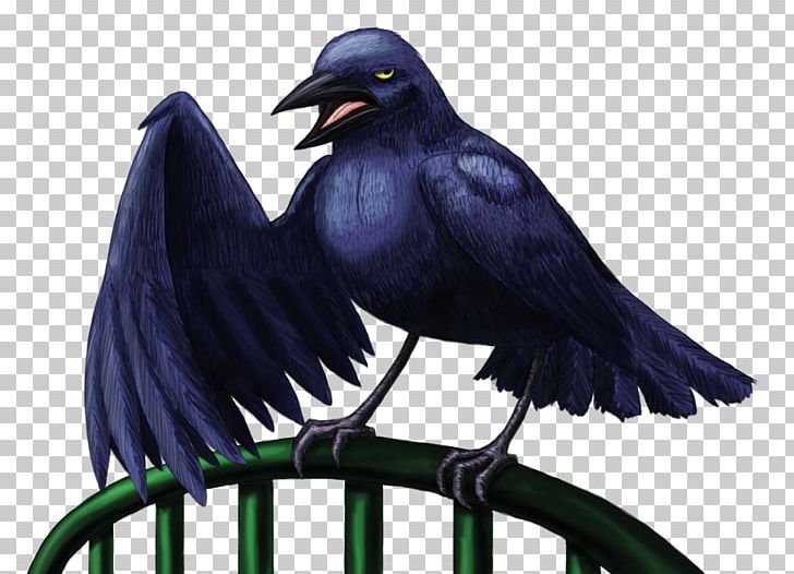 American Crow Rook New Caledonian Crow Common Raven PNG, Clipart, American Crow, Beak, Bird, Common Raven, Crow Free PNG Download