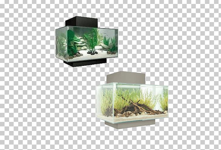 Aquariums Fluval Edge Nano Aquarium Aquarium Filters PNG, Clipart, Aquarium, Aquarium Filters, Aquariums, Aquatic Plants, Fish Free PNG Download