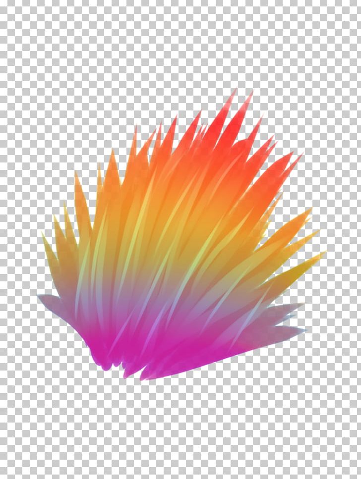 Close-up PNG, Clipart, Closeup, Feather, Flower, Magenta, Orange Free PNG Download