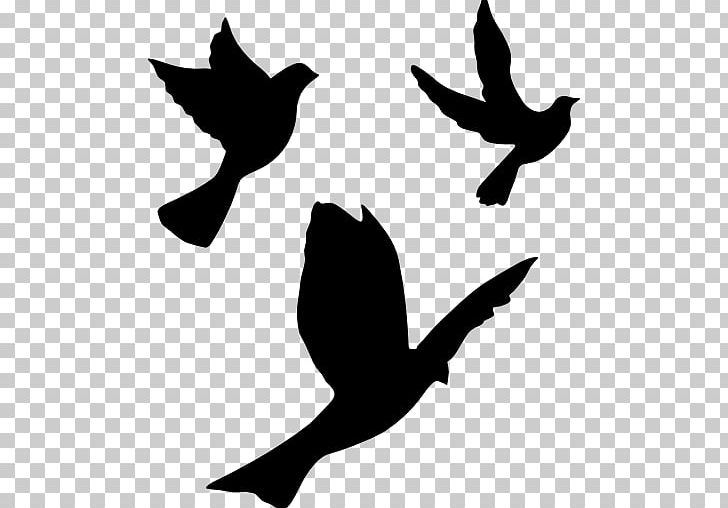 Encapsulated PostScript PNG, Clipart, Animals, Beak, Bird, Black And White, Branch Free PNG Download