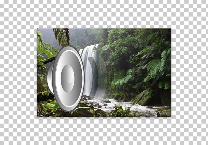 Hopetoun Falls Great Otway National Park Apollo Bay Aire River High Force PNG, Clipart, 3 D, Apollo Bay, Australia, Biodiversity, Biome Free PNG Download